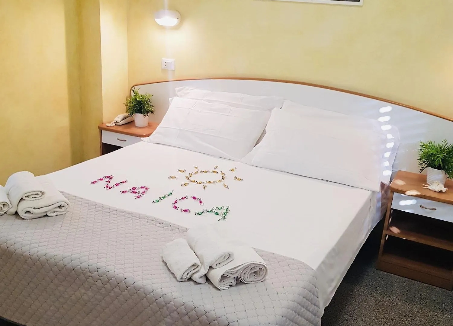 Hotel Naica Rimini